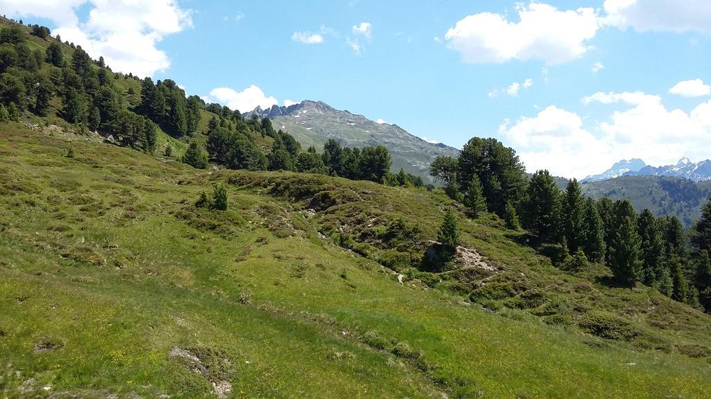 Haus Brigitte - Preise Inclusive Pitztal Sommer Card Jerzens Exteriér fotografie