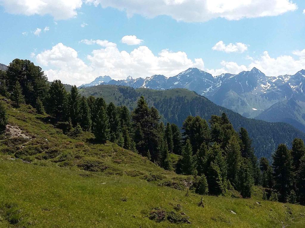 Haus Brigitte - Preise Inclusive Pitztal Sommer Card Jerzens Exteriér fotografie